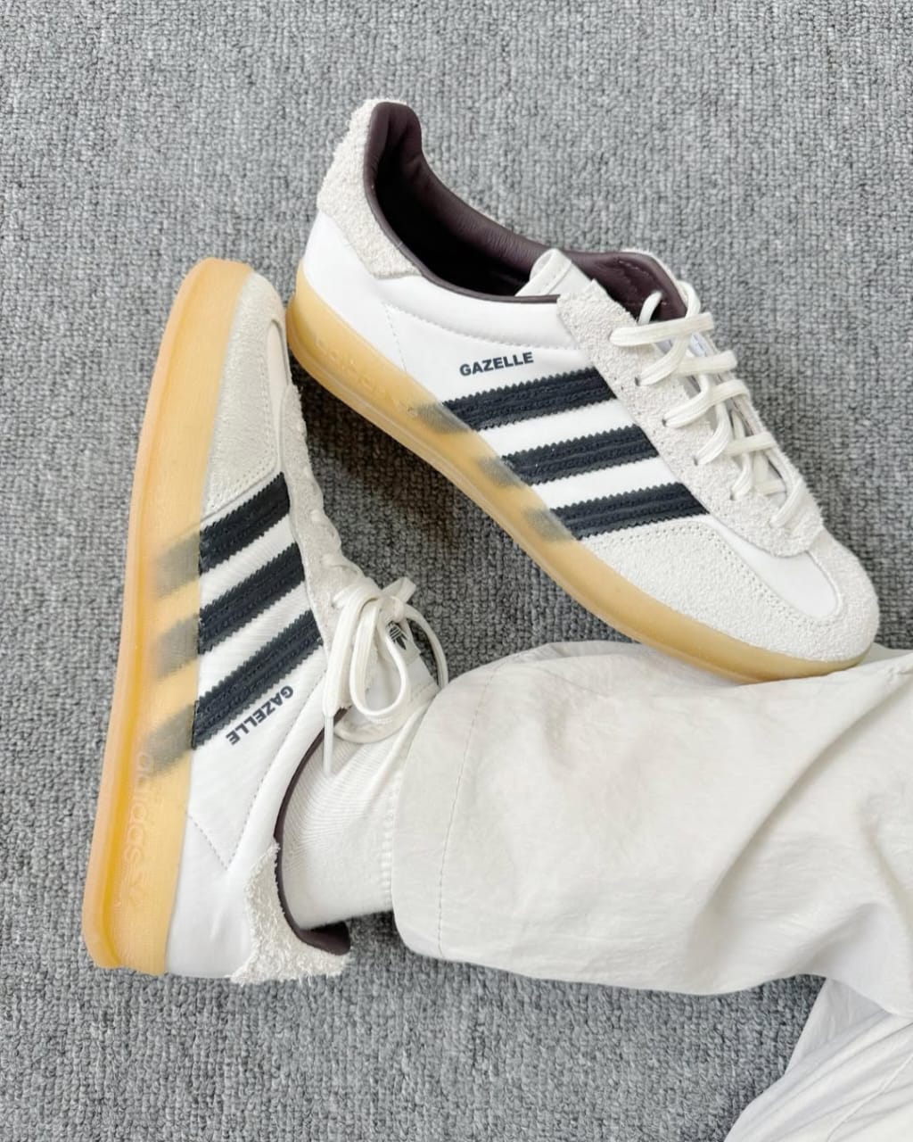 Gazelle hikari shibata