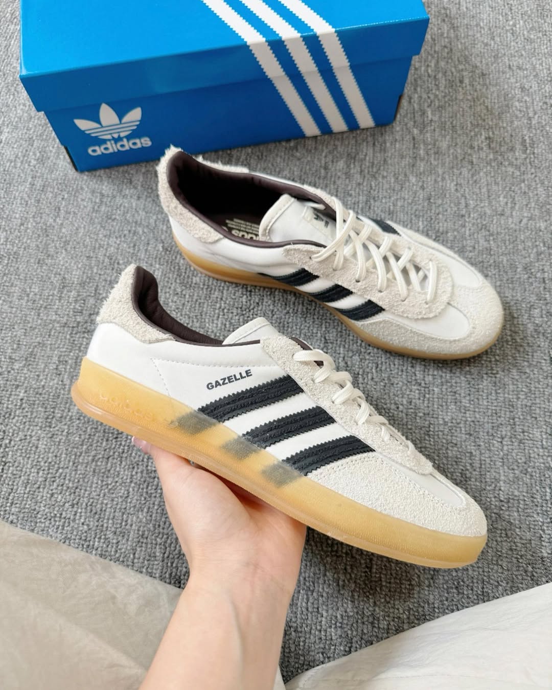 Gazelle hikari shibata